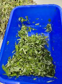 艾草搓揉