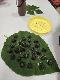 艾草堅果巧克力製作成品