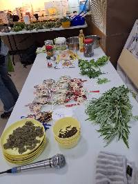 全部材料展示