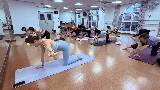 四肢跪姿平衡：強化核心和腹內斜肌、側腰及大腿內側