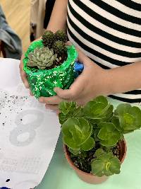 綠植親子手作_260505_7