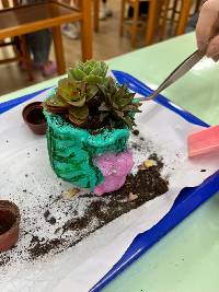 綠植親子手作_260505_6
